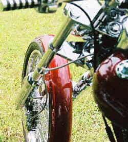 legs_1-rear2.jpg (35748 bytes)